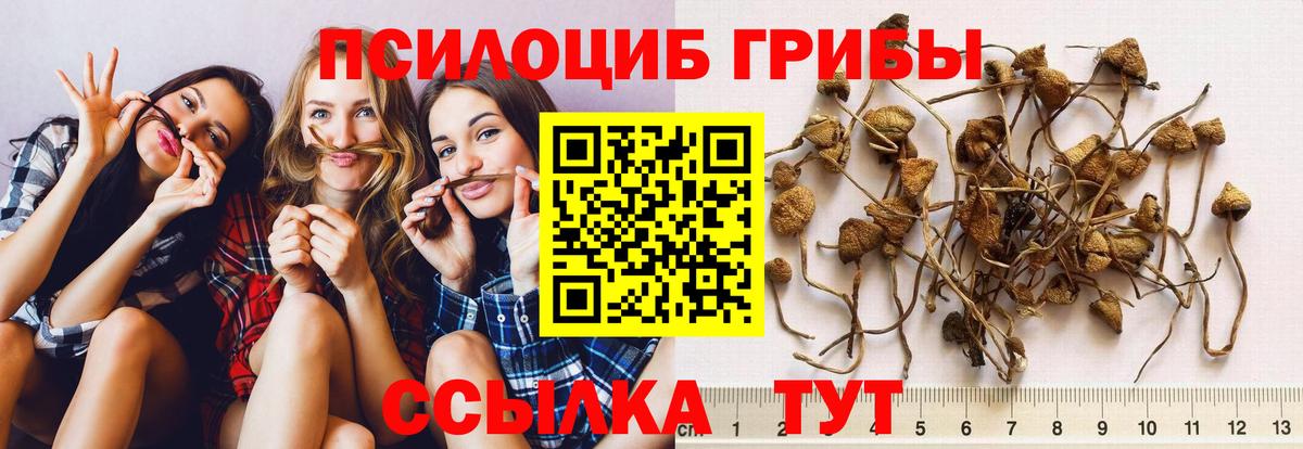 Галлюциногенные грибы Magic Shrooms Малоярославец